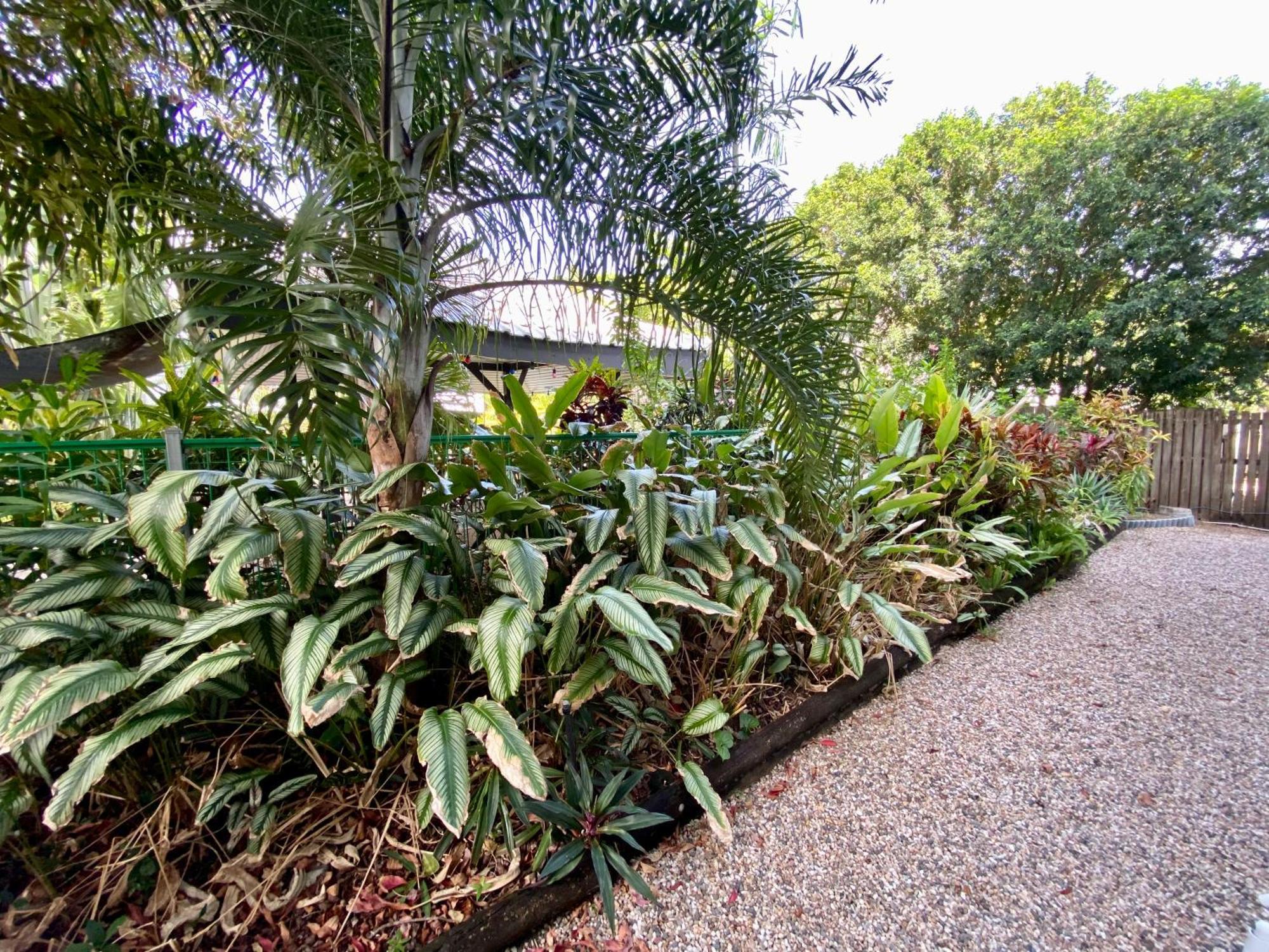Reef Gateway Apartments Cairns Buitenkant foto